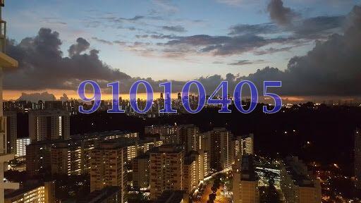 Blk 80C Telok Blangah Street 31 (Bukit Merah), HDB 4 Rooms #157853532